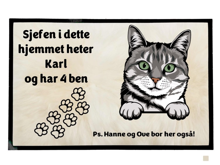  Dørmatte Katt 28