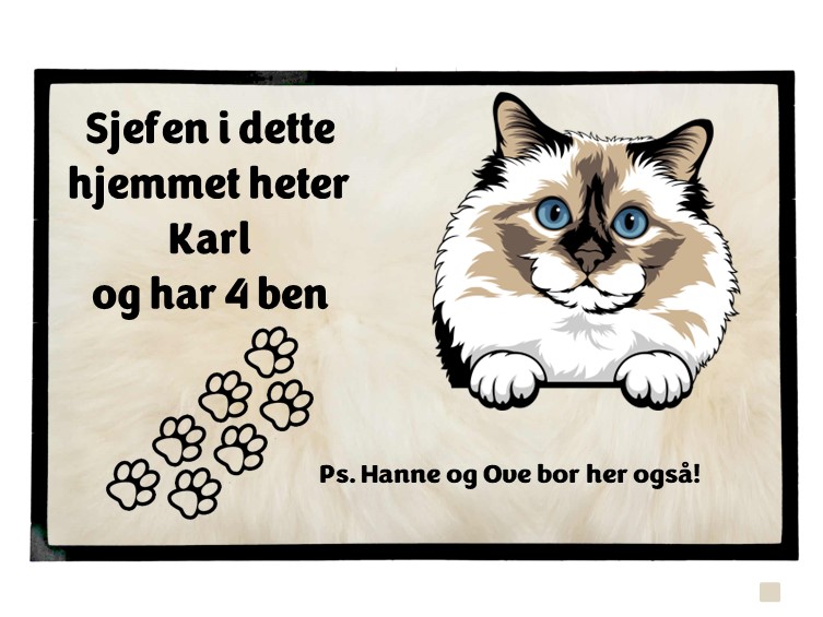  Dørmatte Katt 29