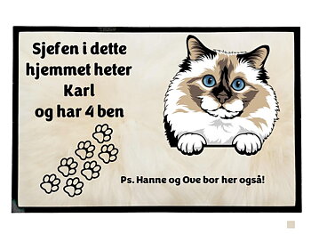  Dørmatte Katt 29