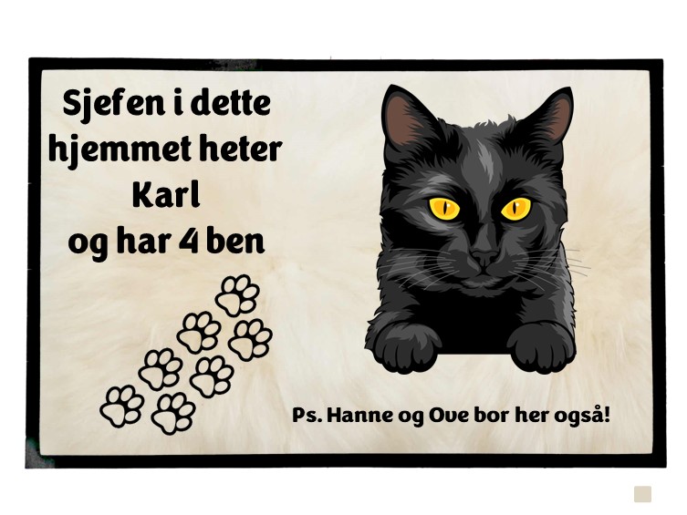  Dørmatte Katt 30