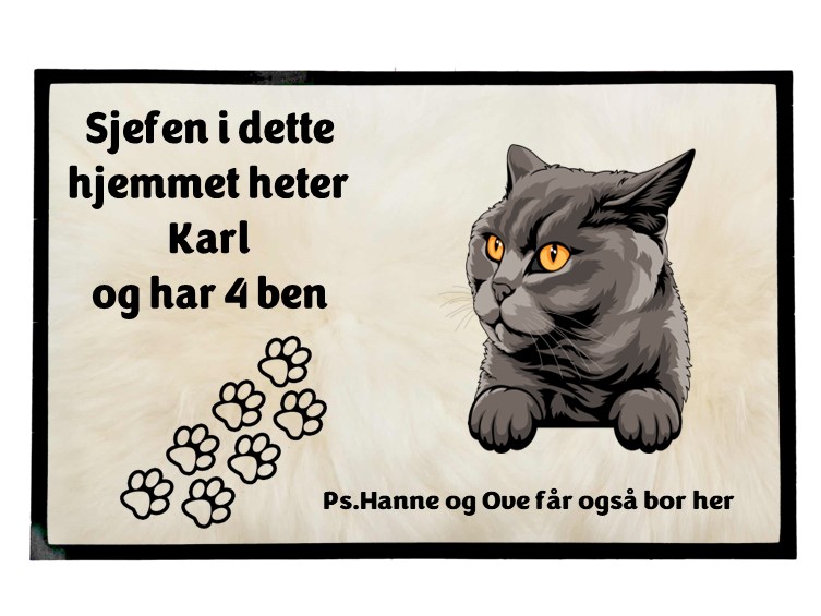  Dørmatte Katt 31