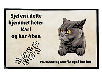  Dørmatte Katt 31