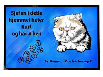  Dørmatte Katt 34