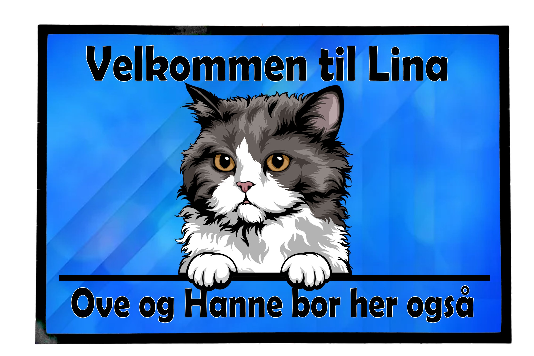  Dørmatte Katt 44