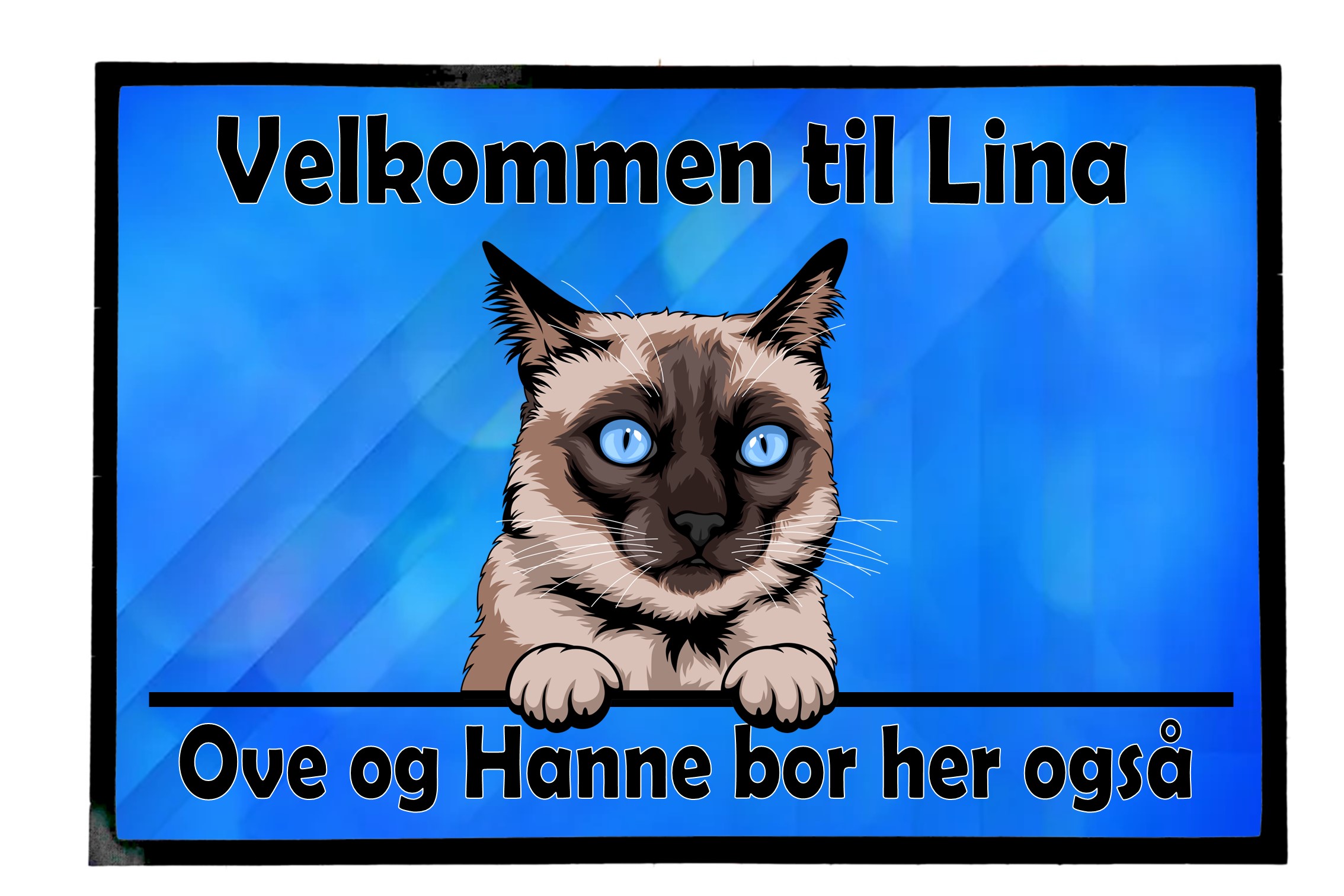  Dørmatte Katt 45