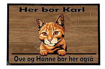  Dørmatte Katt 50