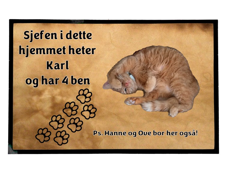  Dørmatte  Eget bilde Katt