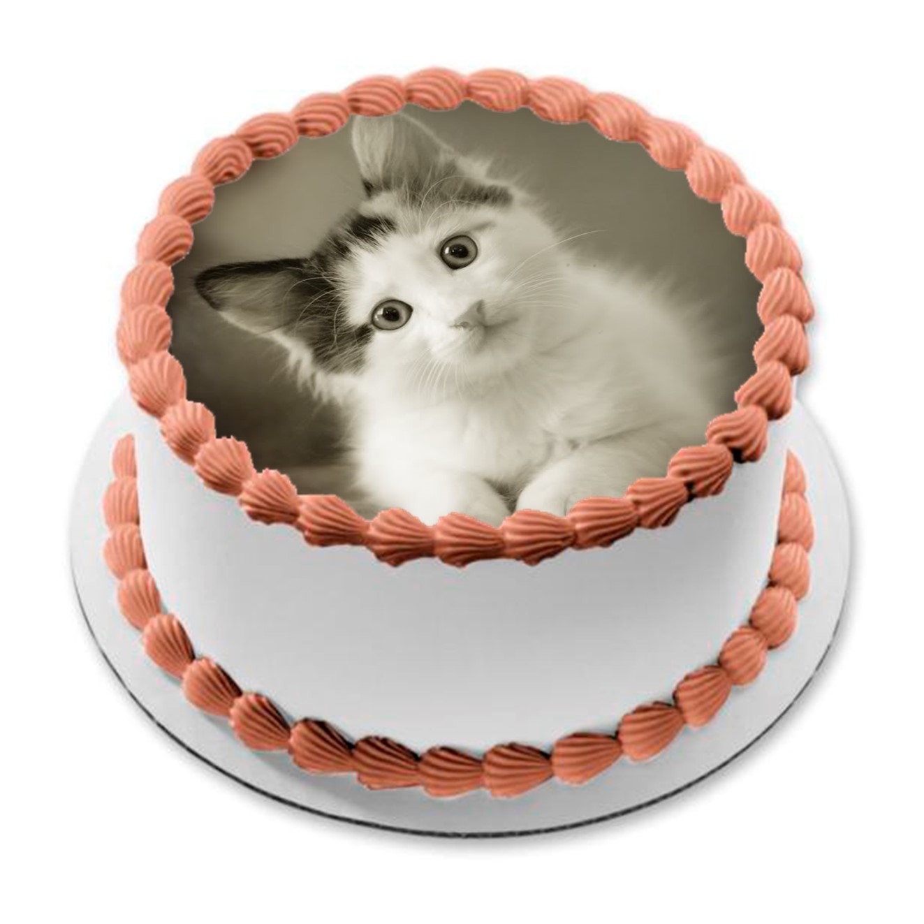 Kakebilde Katt 6 R