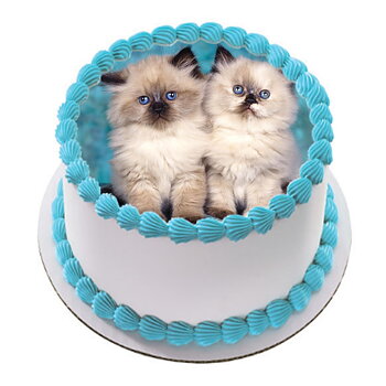 Kakebilde Katt 7 R