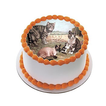 Kakebilde Katt 9 R