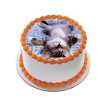 Kakebilde Katt 12 R