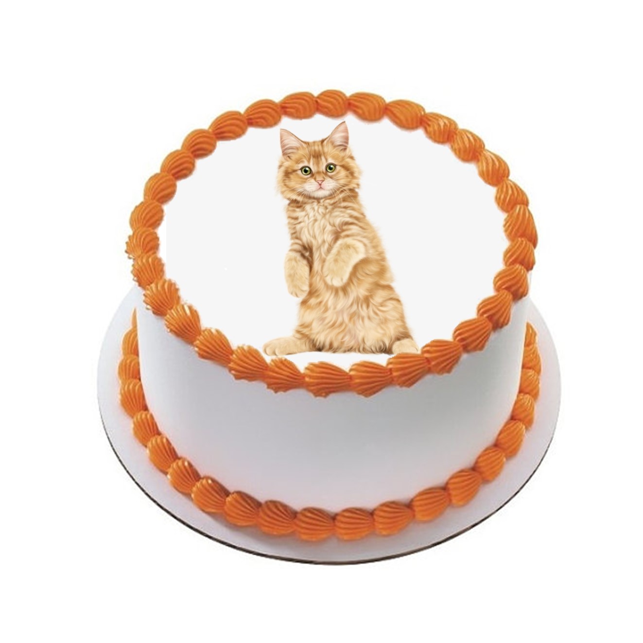 Kakebilde Katt 14 R