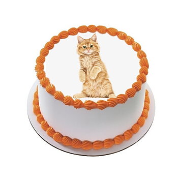 Kakebilde Katt 14 R