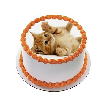 Kakebilde Katt 17 R