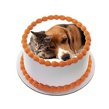 Kakebilde Katt 20 R