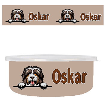 Hundskål Berdercollie