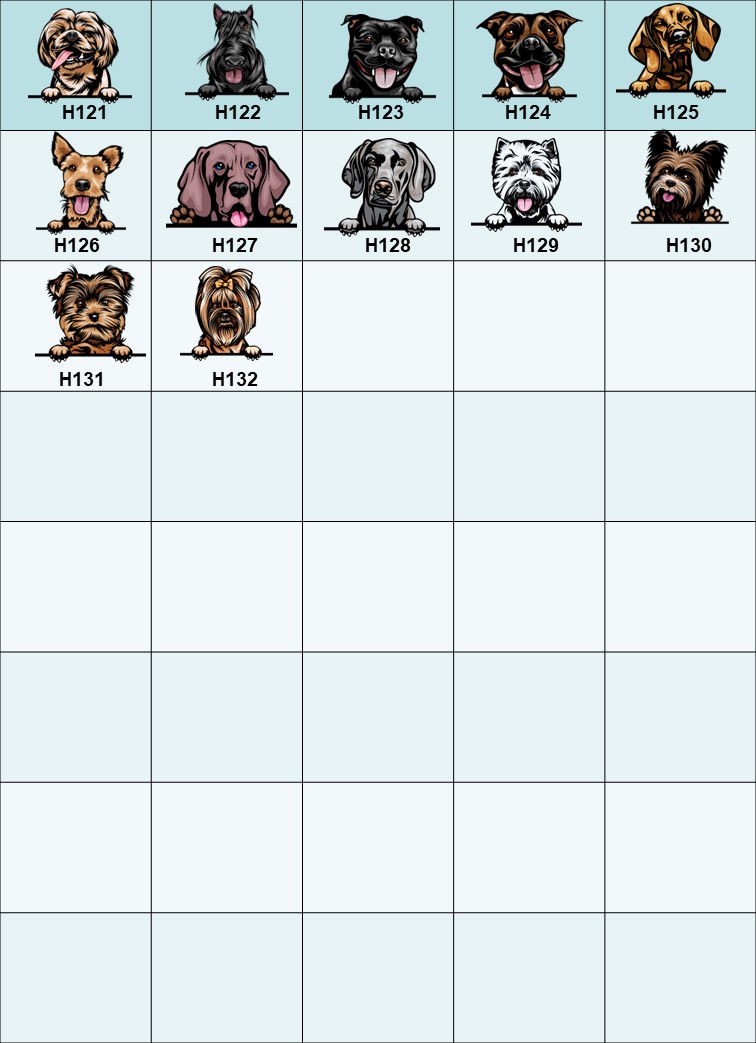 Hundskål Berdercollie - 9