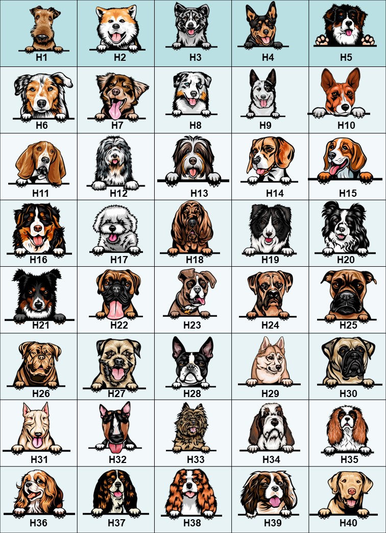 Hundskål Bokser - 6