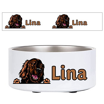 Hundskål Gordon Setter