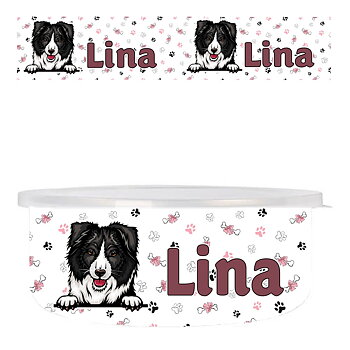 Hundskål Boder collie