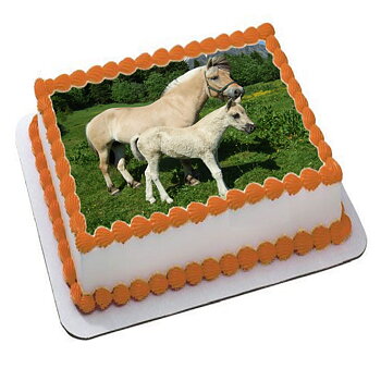 Hest 13