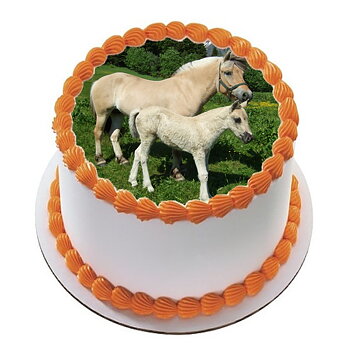 Hest 13 R