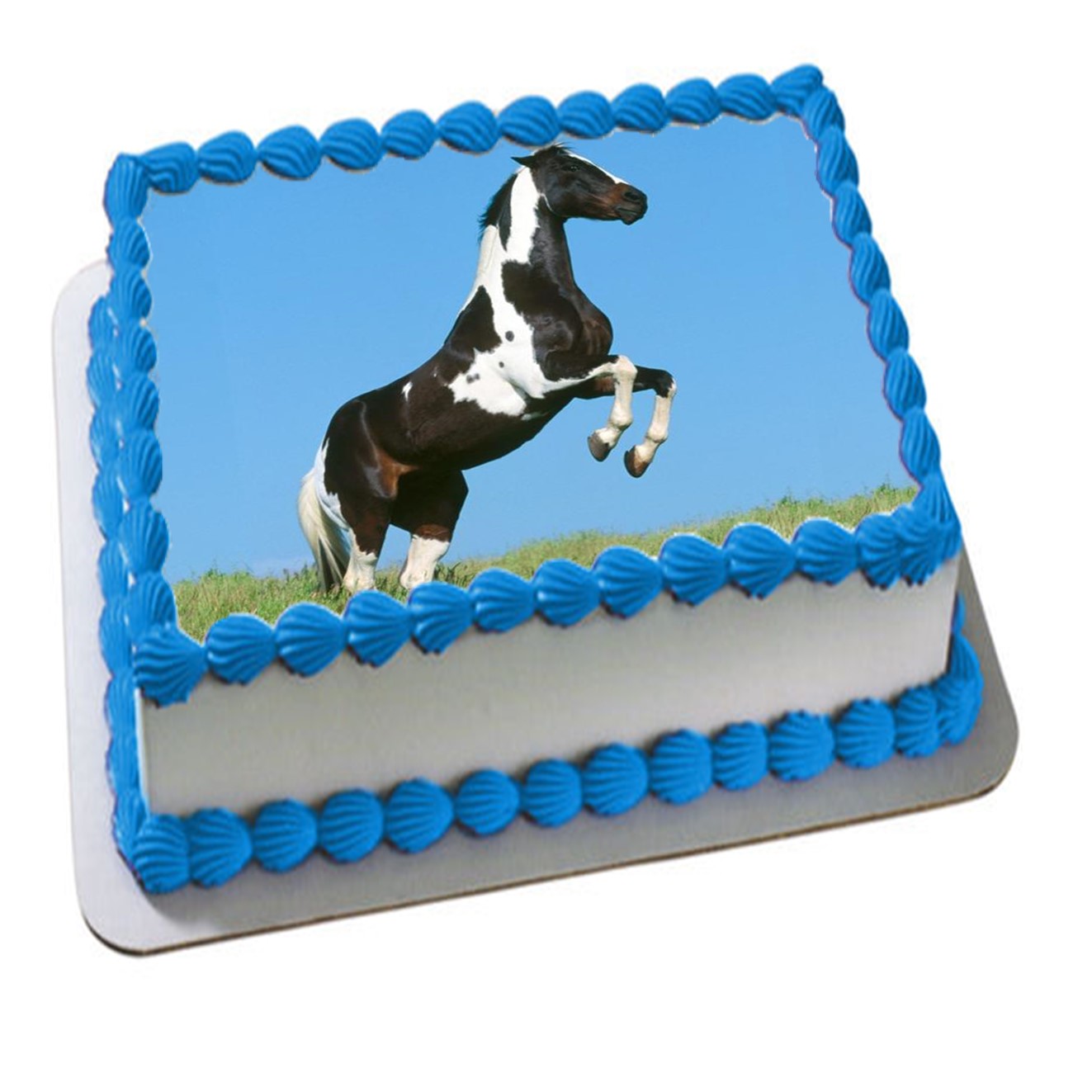 Hest 21
