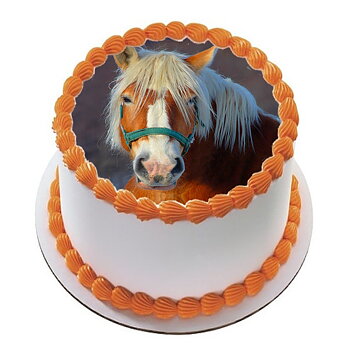 Hest 23 R