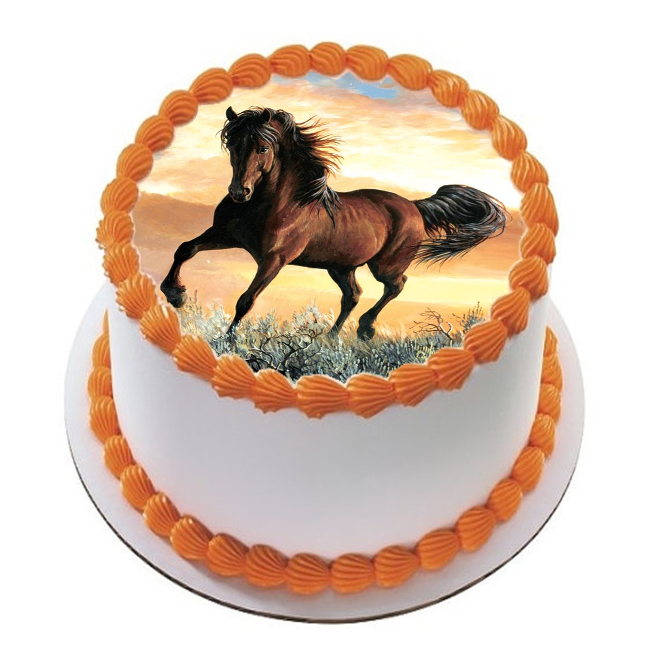 Hest 25 R
