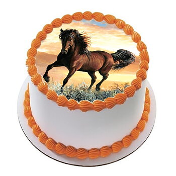Hest 25 R