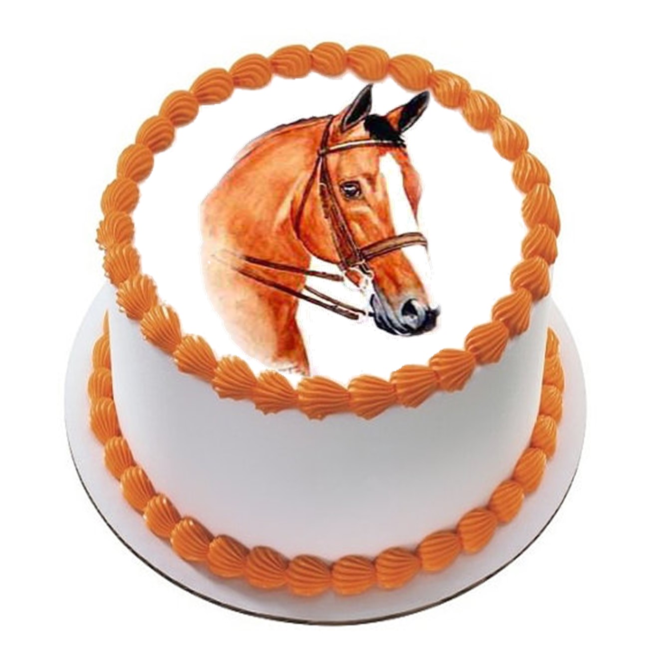 Hest 26 R