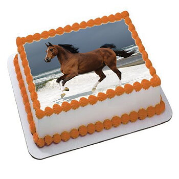 Hest 30