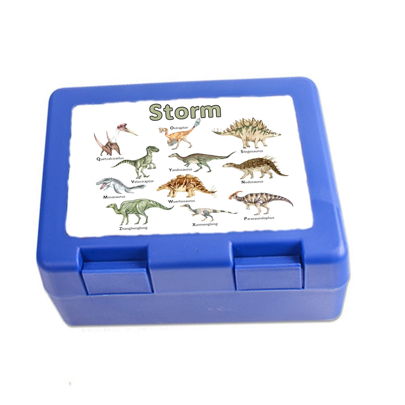 Matboks Dinosaur 1