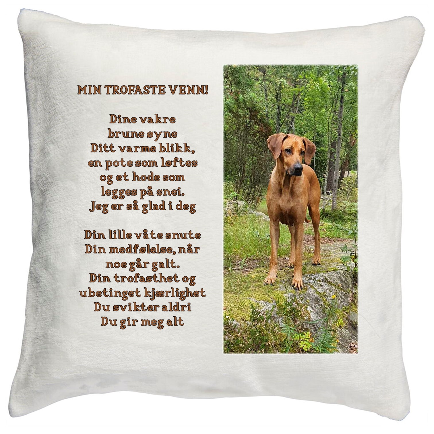 Pute hund Min trofaste venn