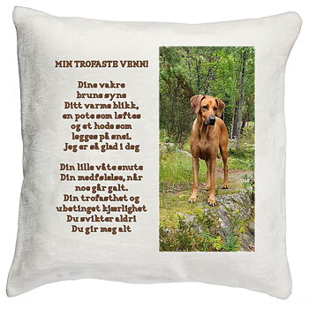 Pute hund Min trofaste venn