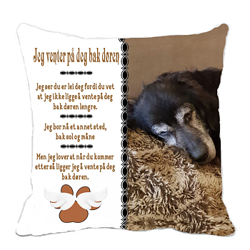 Pute hund  Jeg ligger bak døren