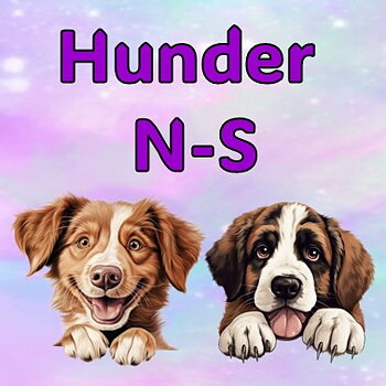 HUNDER  N - S