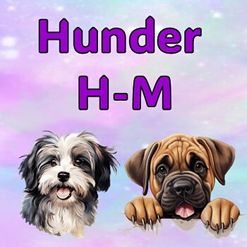 HUNDER  H - M
