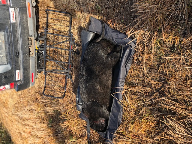 Game Bag / Game Drag / Transport Bag - 7