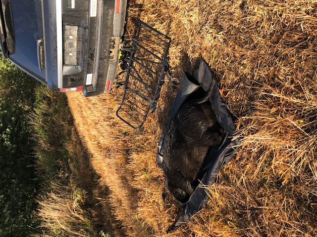 Game Bag / Game Drag / Transport Bag - 4