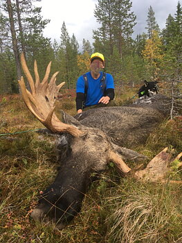 Jakt i Sverige. Älg/småvilt
