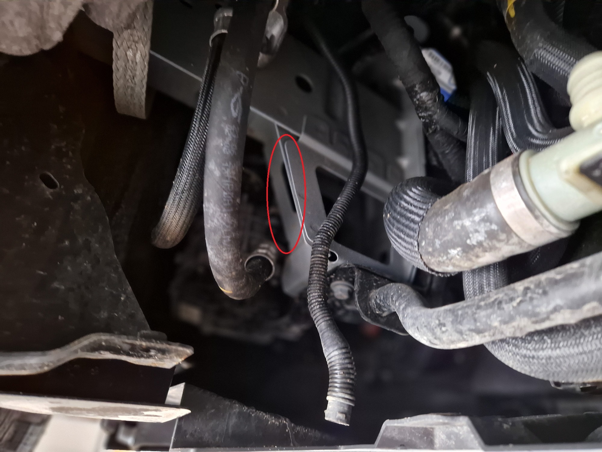 Hasplåt Aluminium Motor+ | Nissan NV300 (2022-2026) - 5