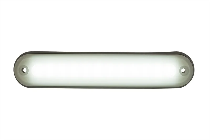 LED interior light compact | 6500K | 220lm | 12/24V - 4