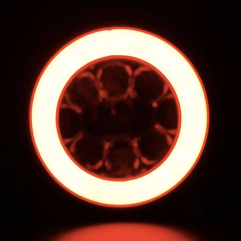 LED Rear light without license plate light 12-36v 5-PIN - 3