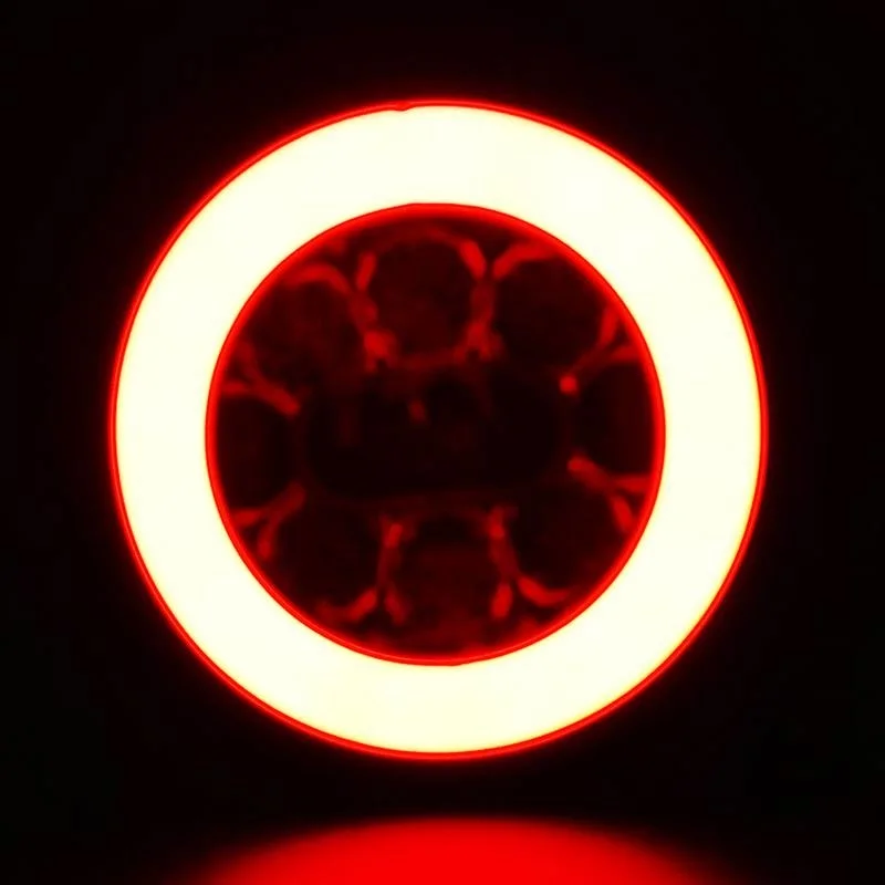 LED Rear light Y-homologation without license plate light 12-36v 5-PIN - 4