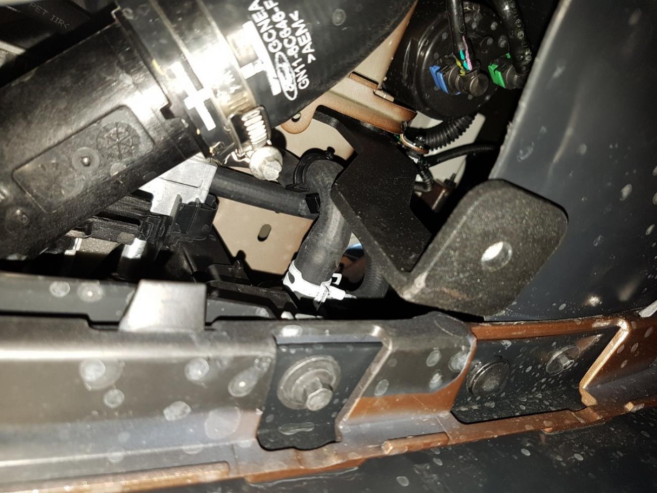 Pohjapanssari Teräs Engine+ | Ford EcoSport (2017-2026) - 5