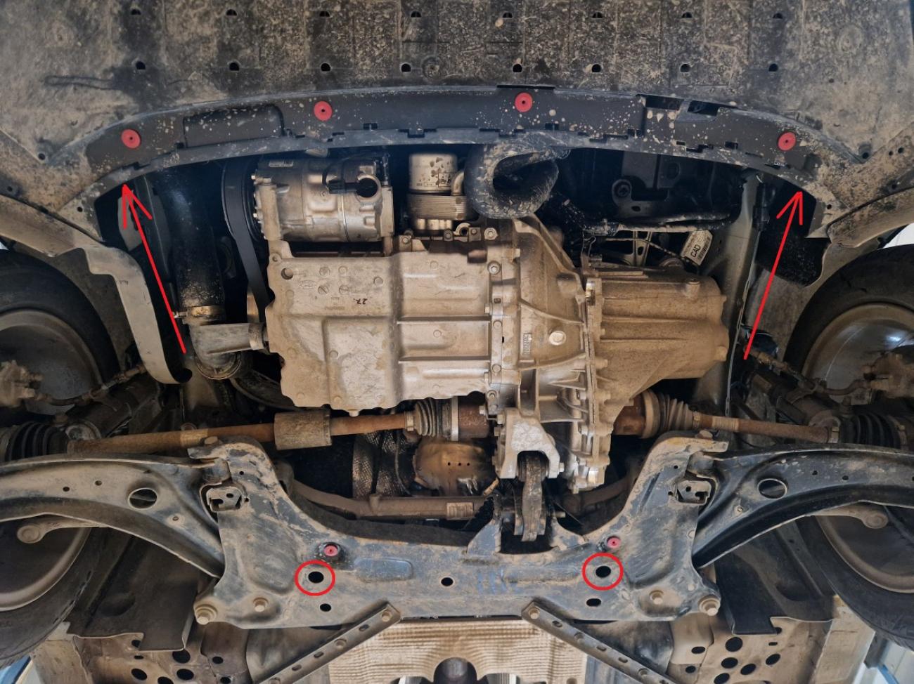 Hasplåt Stål Motor+ | Ford Puma (2019-2026) - 4