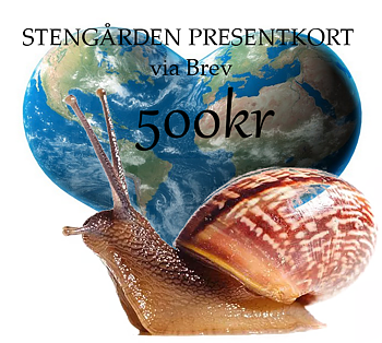 Presentkort till Stengården -  500kr