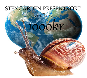 Presentkort till Stengården -  1000kr