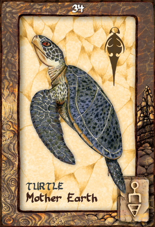 ANIMAL DREAMING ORACLE Oracle Card and Book Set  - Scott Alexander King , Karen Branchflower  - 3